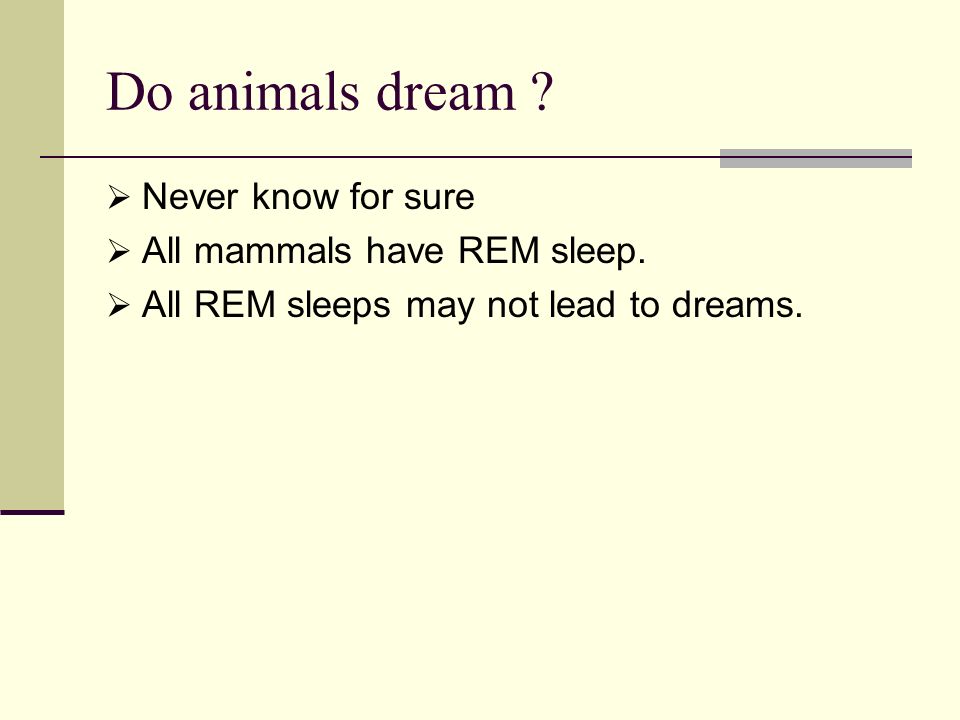 Do animals dream .  Never know for sure  All mammals have REM sleep.