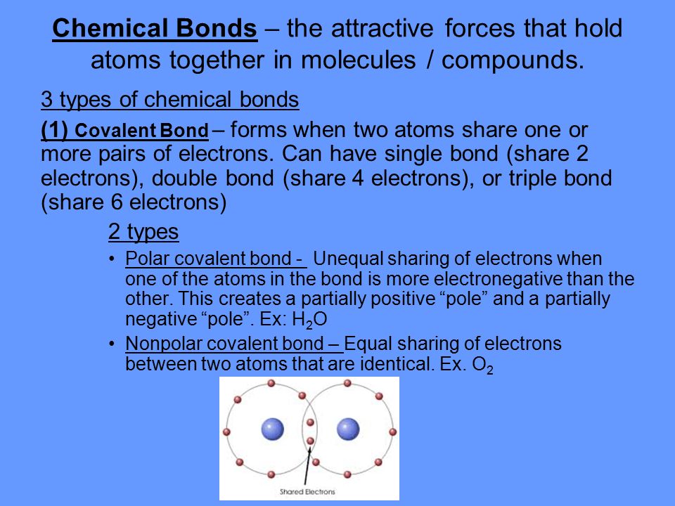 Chemical Bonds – the attractive forces that hold atoms together in molecules / compounds.