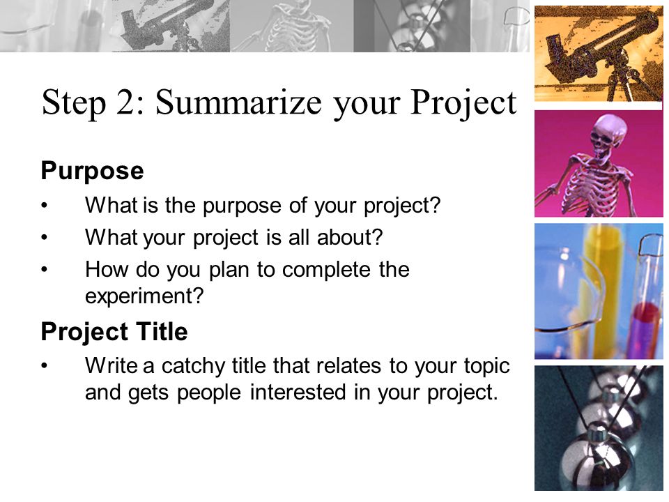 Step 2: Summarize your Project Purpose What is the purpose of your project.