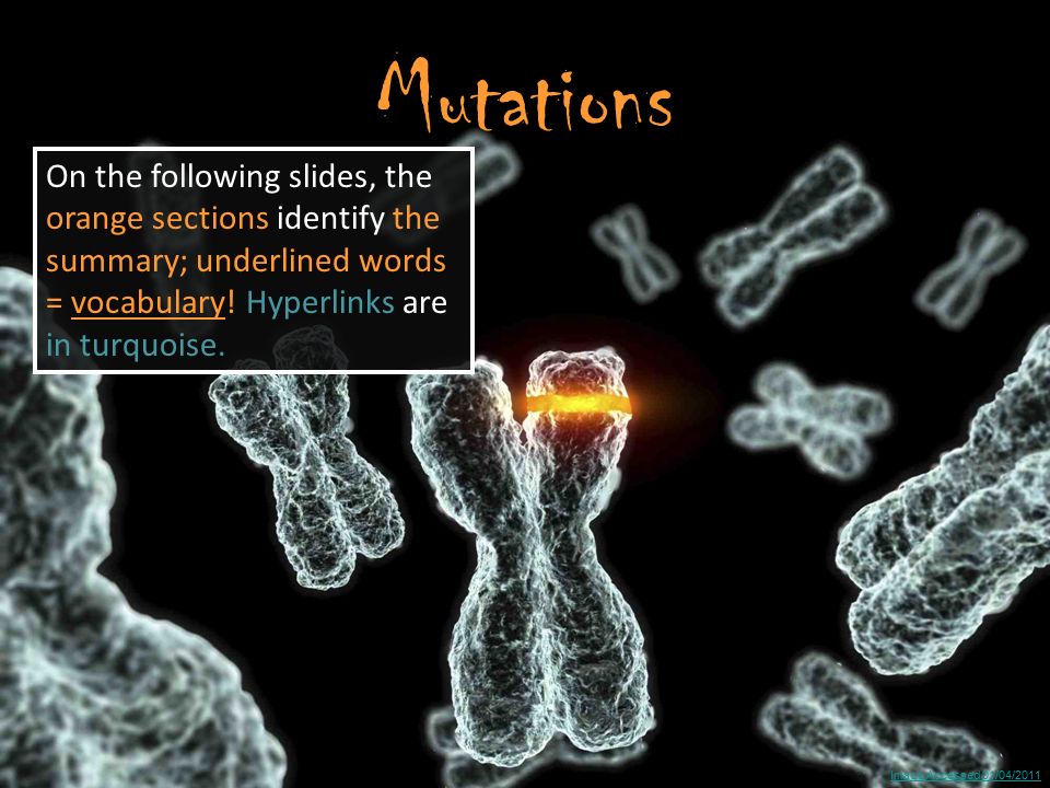 Image Accessed 01/04/2011 Mutations On the following slides, the orange sections identify the summary; underlined words = vocabulary.