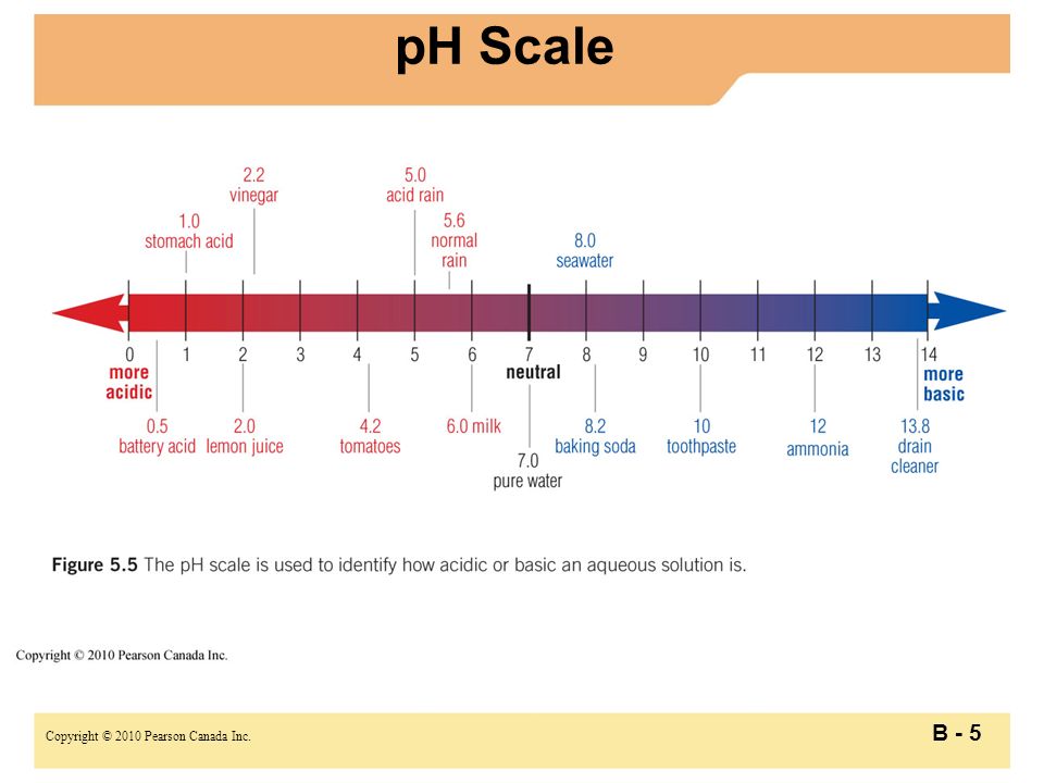 Copyright © 2010 Pearson Canada Inc. B - 5 pH Scale