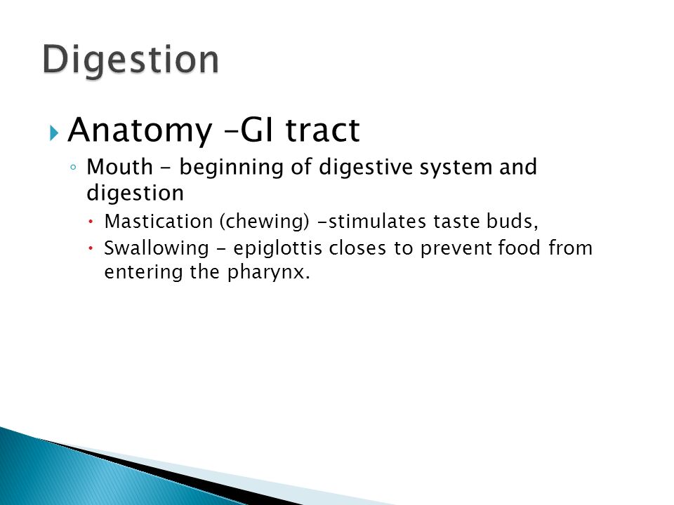 Chapter 3 Part 2. Digestion is the process of breaking down