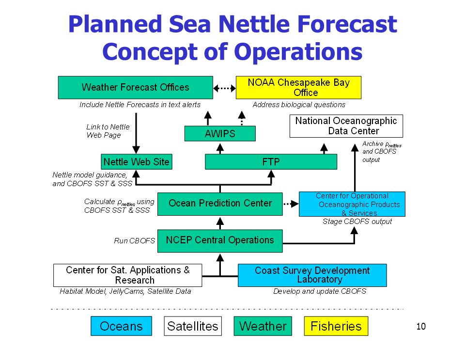 10 Planned Sea Nettle Forecast Concept of Operations