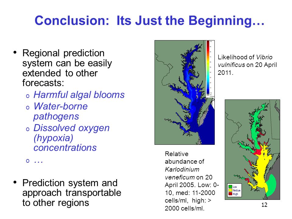 12 Regional prediction system can be easily extended to other forecasts: o Harmful algal blooms o Water-borne pathogens o Dissolved oxygen (hypoxia) concentrations o … Prediction system and approach transportable to other regions Conclusion: Its Just the Beginning… Relative abundance of Karlodinium veneficum on 20 April 2005.