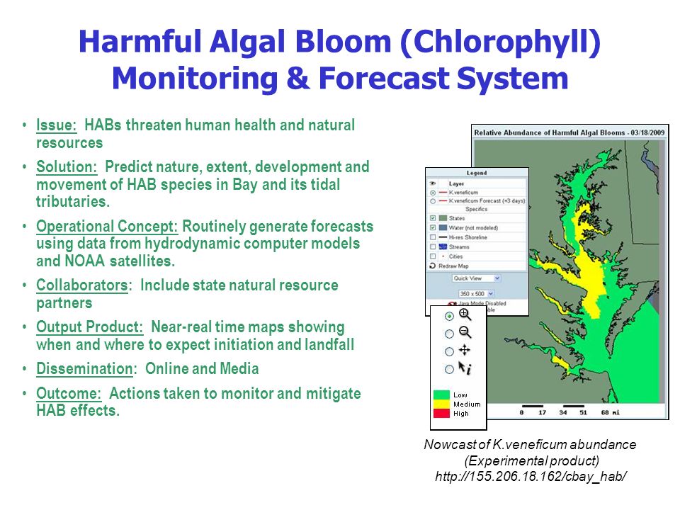15 Harmful Algal Bloom (Chlorophyll) Monitoring & Forecast System Issue: HABs threaten human health and natural resources Solution: Predict nature, extent, development and movement of HAB species in Bay and its tidal tributaries.