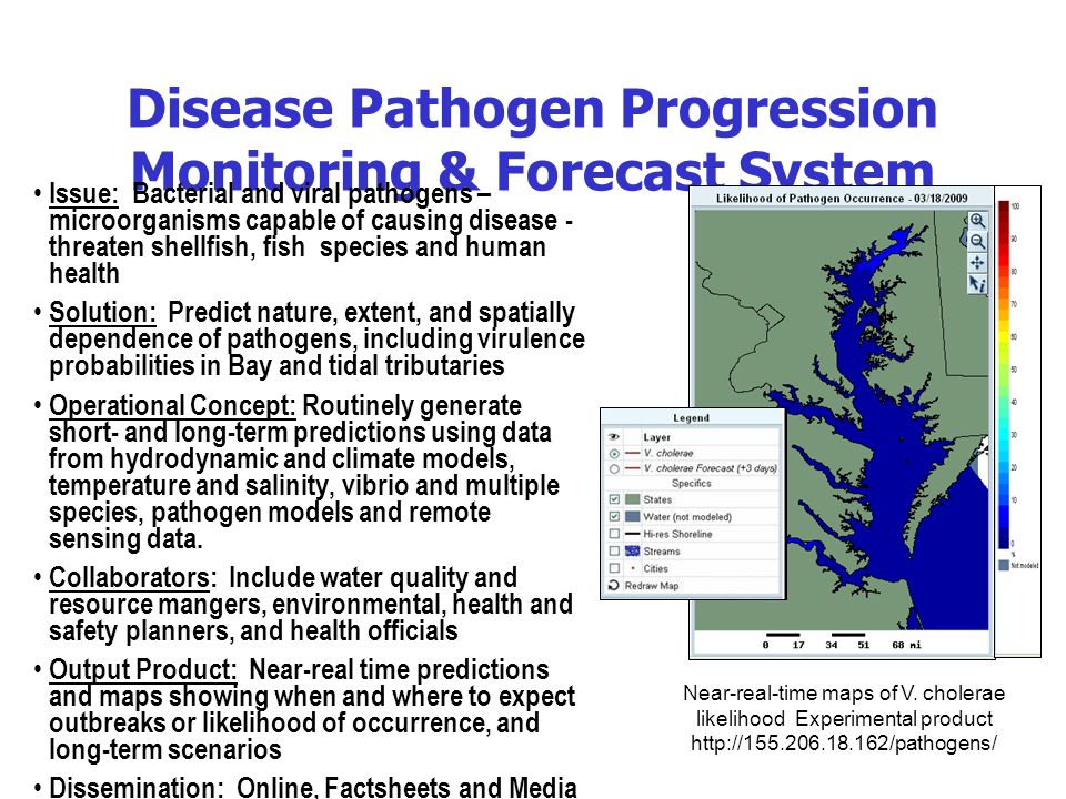 18 Disease Pathogen Progression Monitoring & Forecast System Issue: Bacterial and viral pathogens – microorganisms capable of causing disease - threaten shellfish, fish species and human health Solution: Predict nature, extent, and spatially dependence of pathogens, including virulence probabilities in Bay and tidal tributaries Operational Concept: Routinely generate short- and long-term predictions using data from hydrodynamic and climate models, temperature and salinity, vibrio and multiple species, pathogen models and remote sensing data.