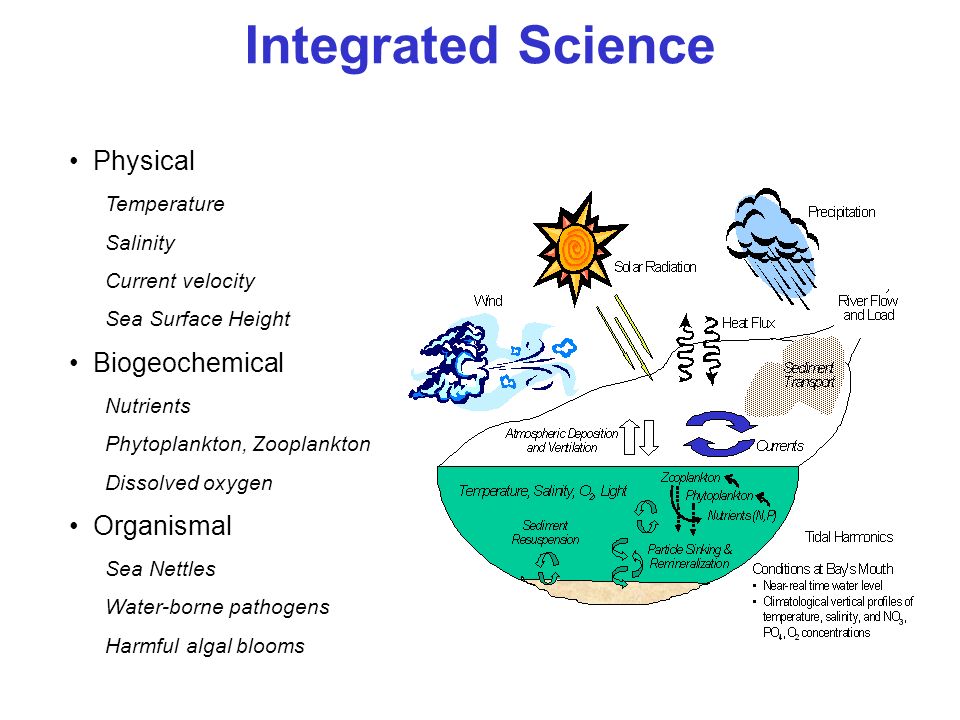 Physical Temperature Salinity Current velocity Sea Surface Height Biogeochemical Nutrients Phytoplankton, Zooplankton Dissolved oxygen Organismal Sea Nettles Water-borne pathogens Harmful algal blooms Integrated Science