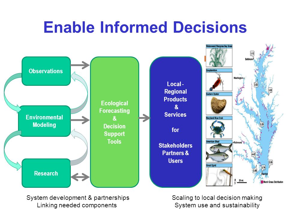 6 Observations Environmental Modeling Research Ecological Forecasting & Decision Support Tools Local - Regional Products & Services for Stakeholders Partners & Users Enable Informed Decisions System development & partnerships Linking needed components Scaling to local decision making System use and sustainability