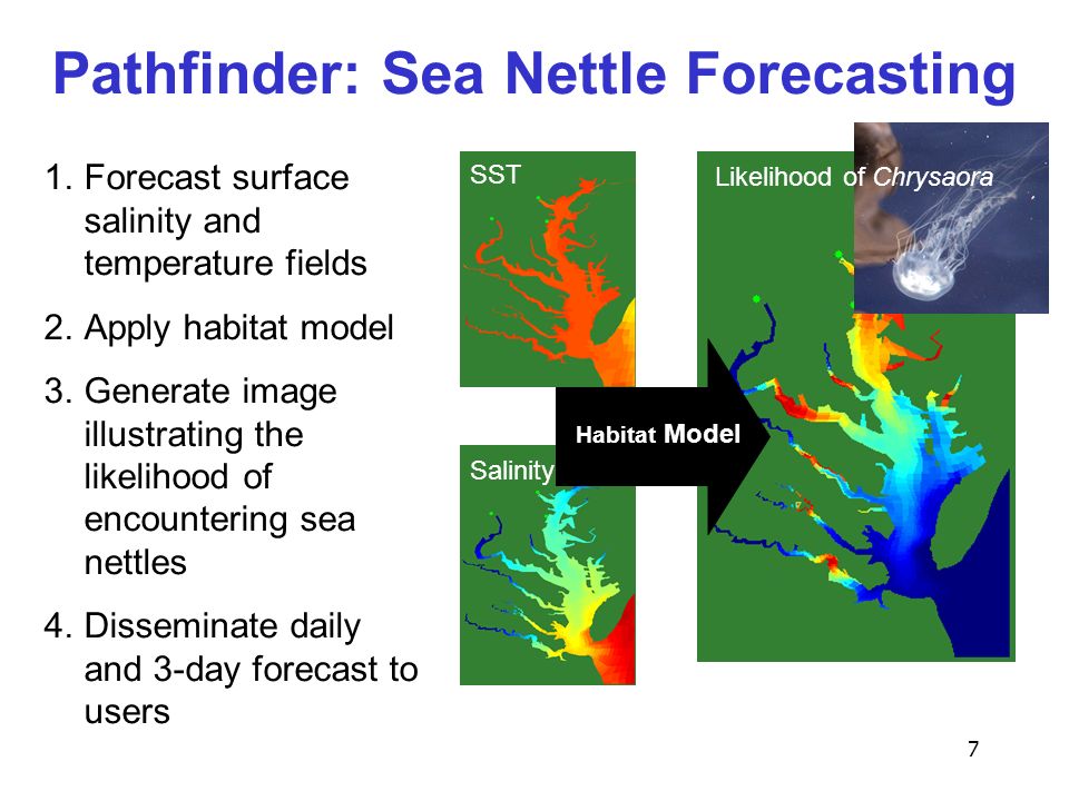7 Pathfinder: Sea Nettle Forecasting Salinity SST Habitat Model 1.Forecast surface salinity and temperature fields 2.Apply habitat model 3.Generate image illustrating the likelihood of encountering sea nettles 4.Disseminate daily and 3-day forecast to users Likelihood of Chrysaora
