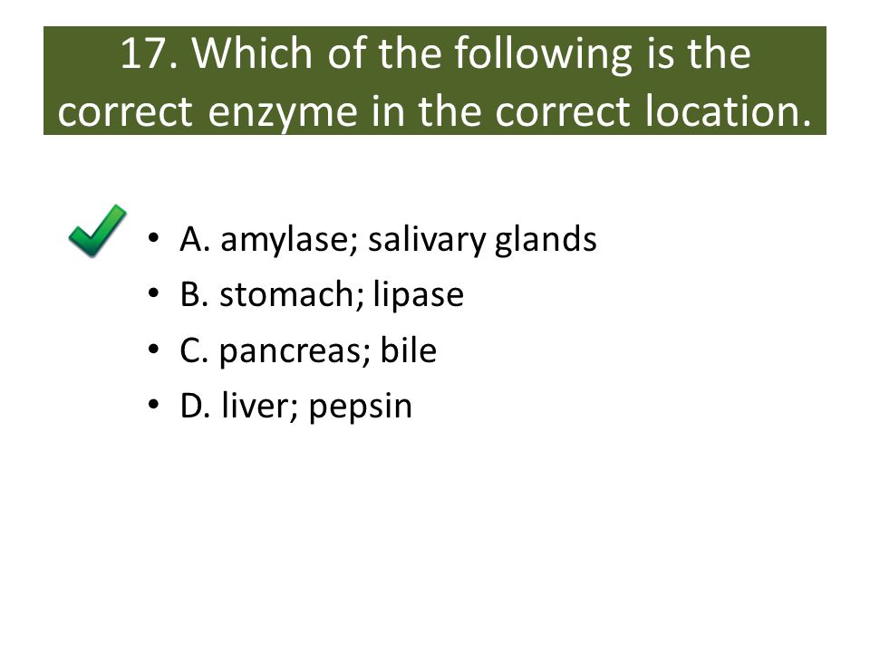 17. Which of the following is the correct enzyme in the correct location.