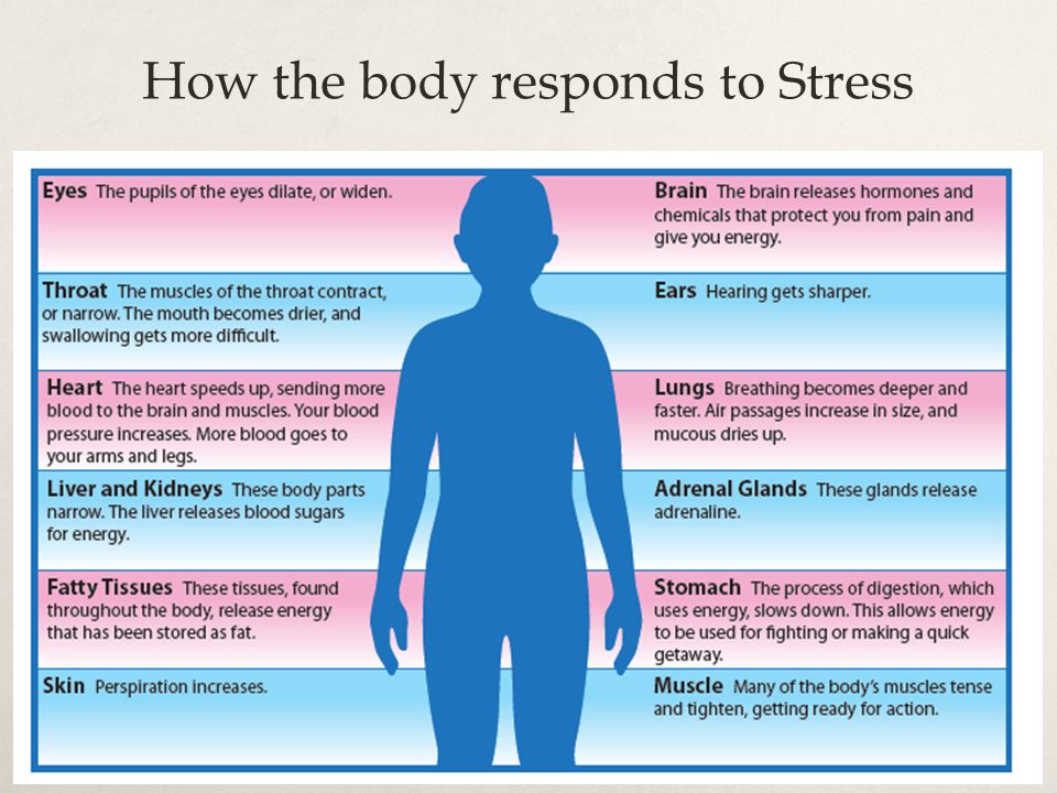 We can body. Stress is. How+to+avoid+stress+тема. What is stress. Body презентация.