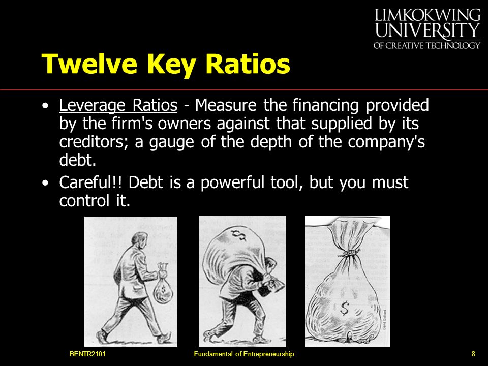 BENTR2101Fundamental of Entrepreneurship8 Twelve Key Ratios Leverage Ratios - Measure the financing provided by the firm s owners against that supplied by its creditors; a gauge of the depth of the company s debt.