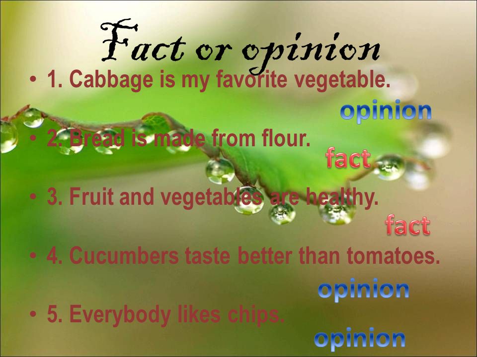 Fact or opinion 1. Cabbage is my favorite vegetable.