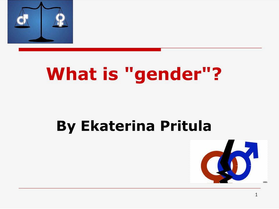 1 What is gender By Ekaterina Pritula