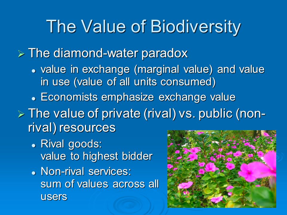 The Value of Biodiversity  The diamond-water paradox value in exchange (marginal value) and value in use (value of all units consumed) value in exchange (marginal value) and value in use (value of all units consumed) Economists emphasize exchange value Economists emphasize exchange value  The value of private (rival) vs.