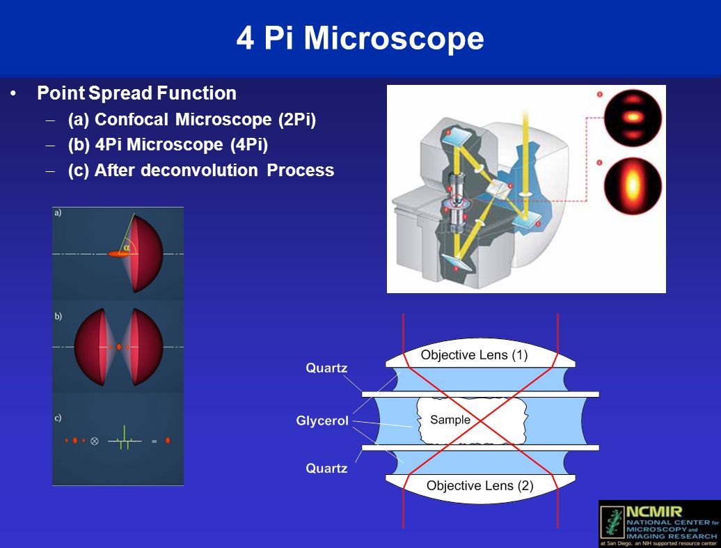4 Pi Microscope Point Spread Function – (a) Confocal Microscope (2Pi) – (b) 4Pi Microscope (4Pi) – (c) After deconvolution Process