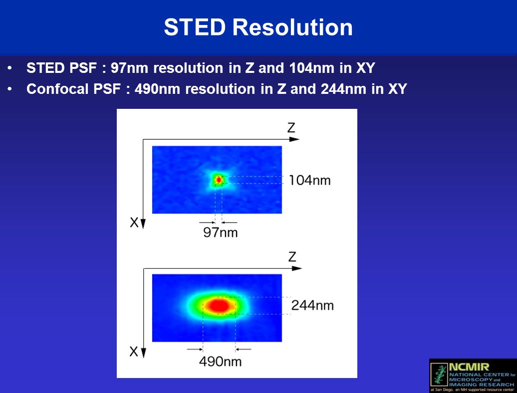 STED Resolution STED PSF : 97nm resolution in Z and 104nm in XY Confocal PSF : 490nm resolution in Z and 244nm in XY