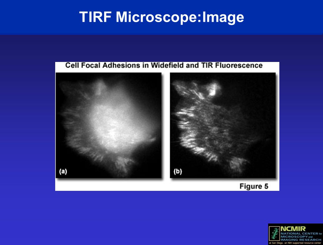 TIRF Microscope:Image