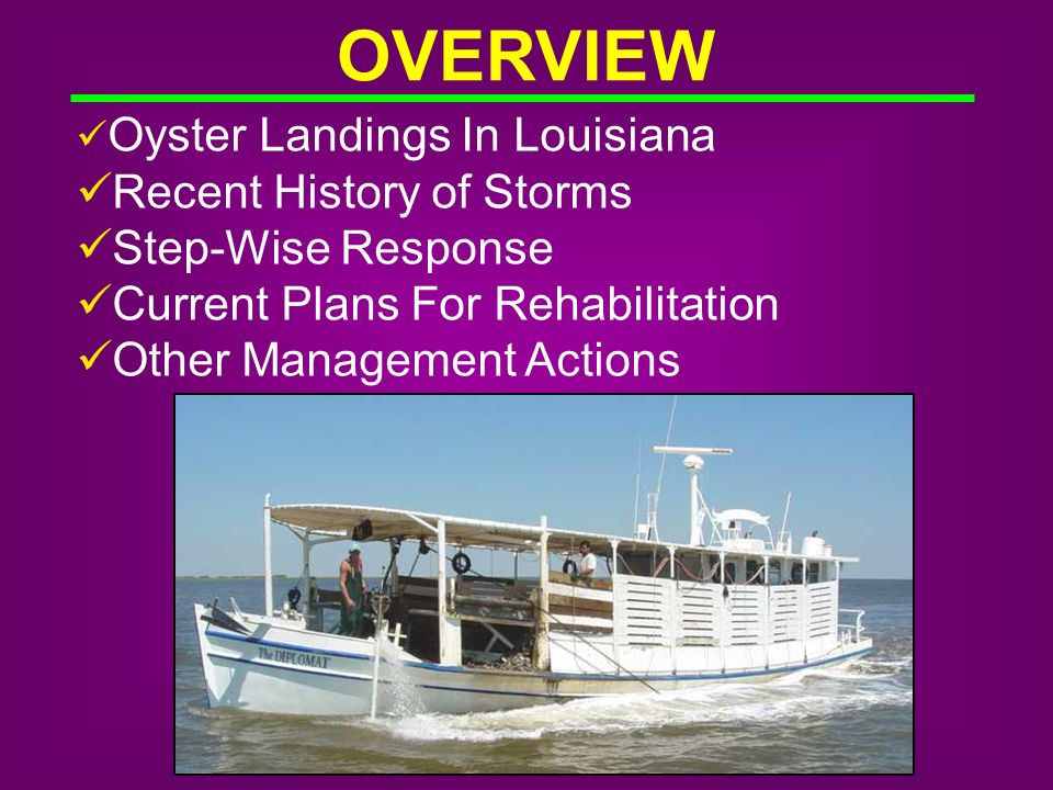 OVERVIEW Oyster Landings In Louisiana Recent History of Storms Step-Wise Response Current Plans For Rehabilitation Other Management Actions