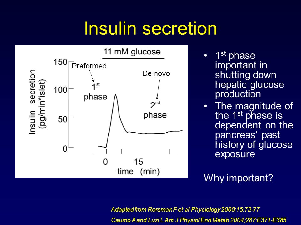 Insulin secretion Adapted from Rorsman P et al Physiology 2000;15:72-77 Caumo A and Luzi L Am J Physiol End Metab 2004;287:E371-E385 1 st phase important in shutting down hepatic glucose production The magnitude of the 1 st phase is dependent on the pancreas’ past history of glucose exposure Why important.