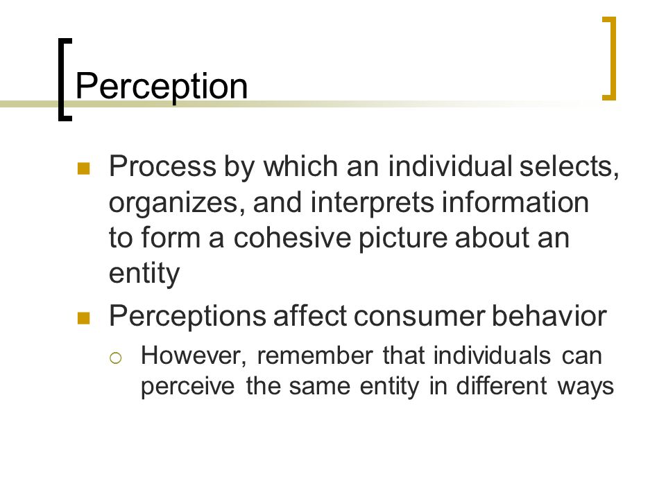 case study on perception in consumer behaviour how does perception affect consumer needs