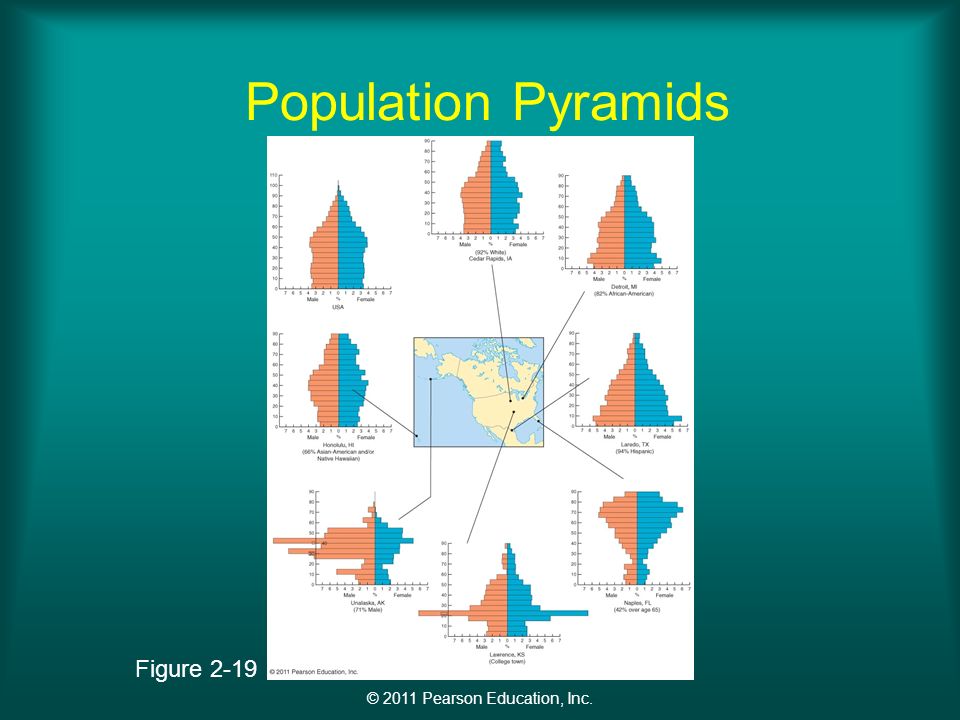 © 2011 Pearson Education, Inc. Population Pyramids Figure 2-19
