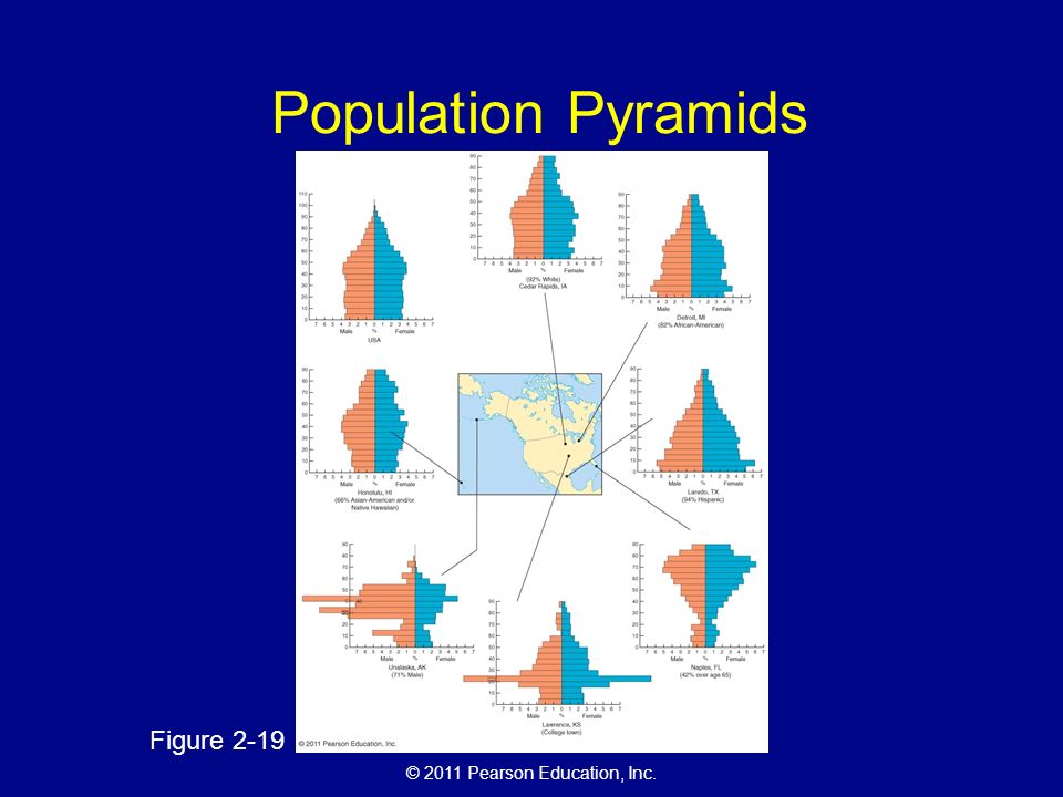 © 2011 Pearson Education, Inc. Population Pyramids Figure 2-19