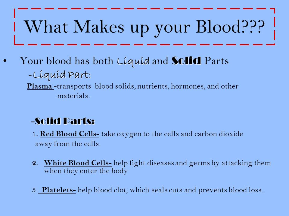 What Makes up your Blood .