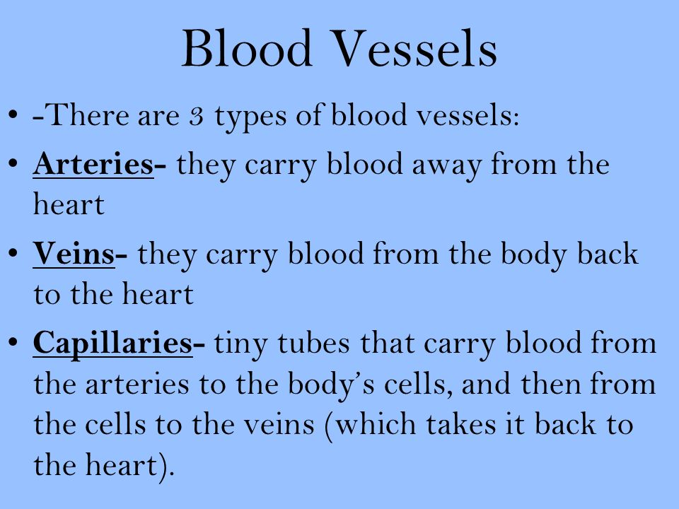 Blood Vessels -There are 3 types of blood vessels: Arteries- they carry blood away from the heart Veins- they carry blood from the body back to the heart Capillaries- tiny tubes that carry blood from the arteries to the body’s cells, and then from the cells to the veins (which takes it back to the heart).