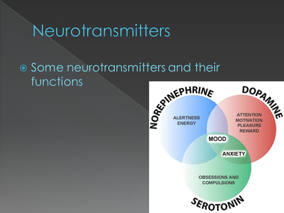  Some neurotransmitters and their functions