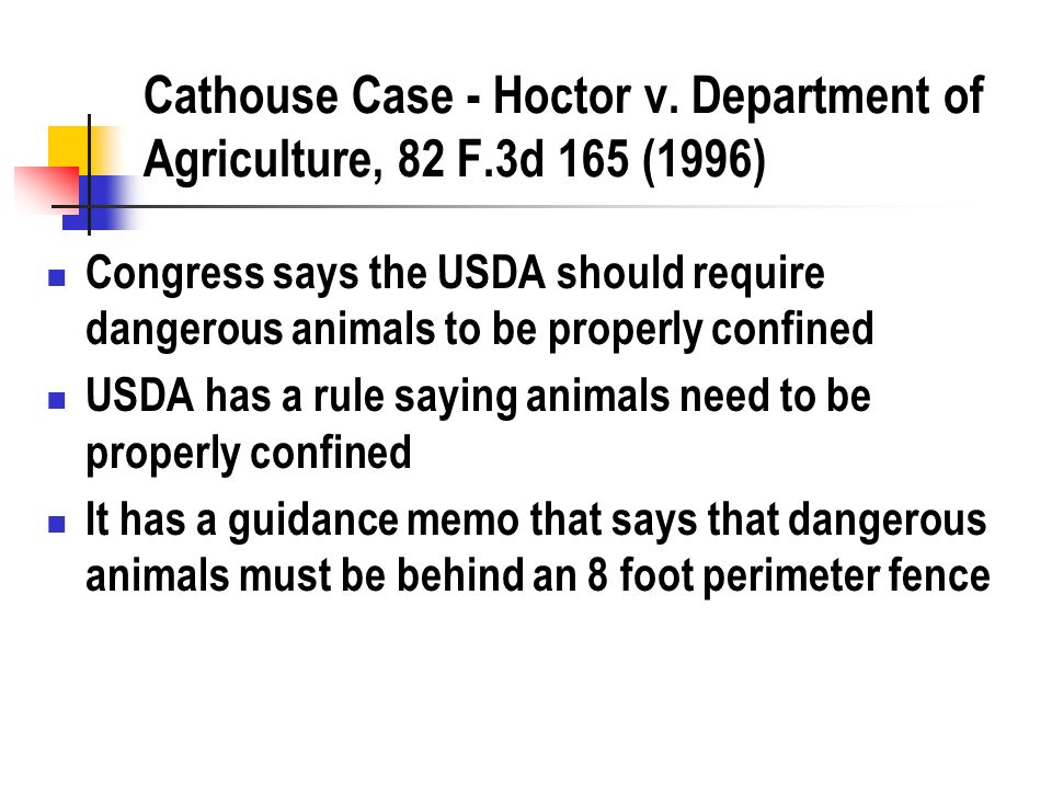 Cathouse Case - Hoctor v.