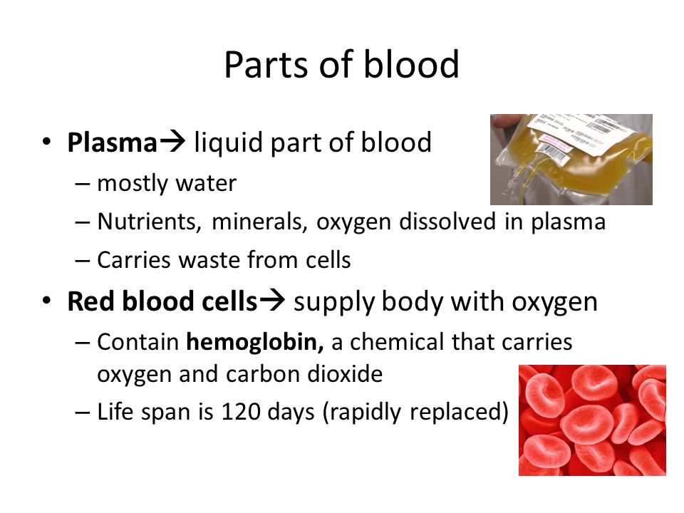 Parts of blood Plasma  liquid part of blood – mostly water – Nutrients, minerals, oxygen dissolved in plasma – Carries waste from cells Red blood cells  supply body with oxygen – Contain hemoglobin, a chemical that carries oxygen and carbon dioxide – Life span is 120 days (rapidly replaced)