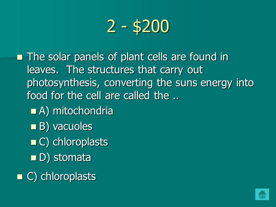 2 - $100 Plant cells are different from animal cells because they contain.