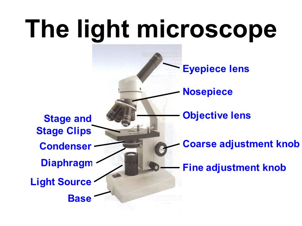 microscope coarse adjustment knob function