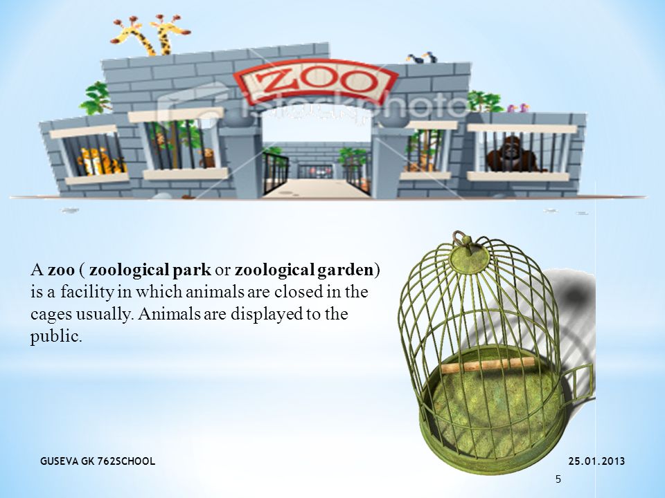 GUSEVA GK 762SCHOOL 5 A zoo ( zoological park or zoological garden) is a facility in which animals are closed in the cages usually.