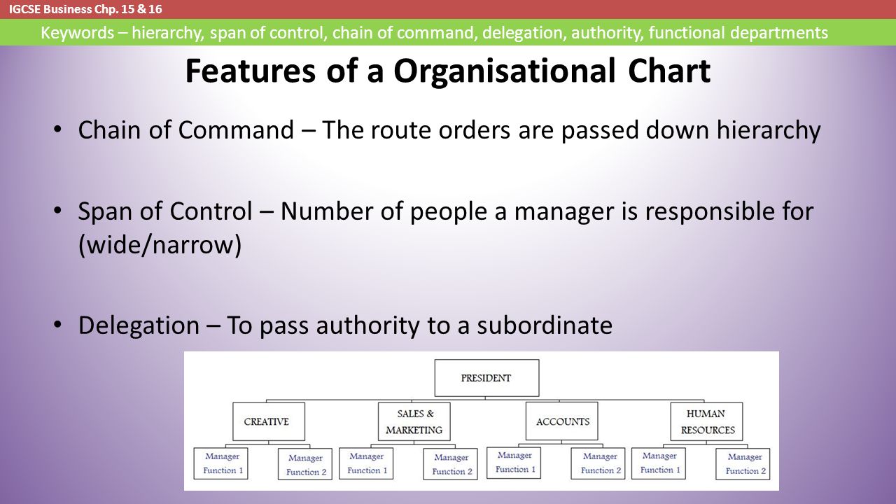 Chp Organizational Chart