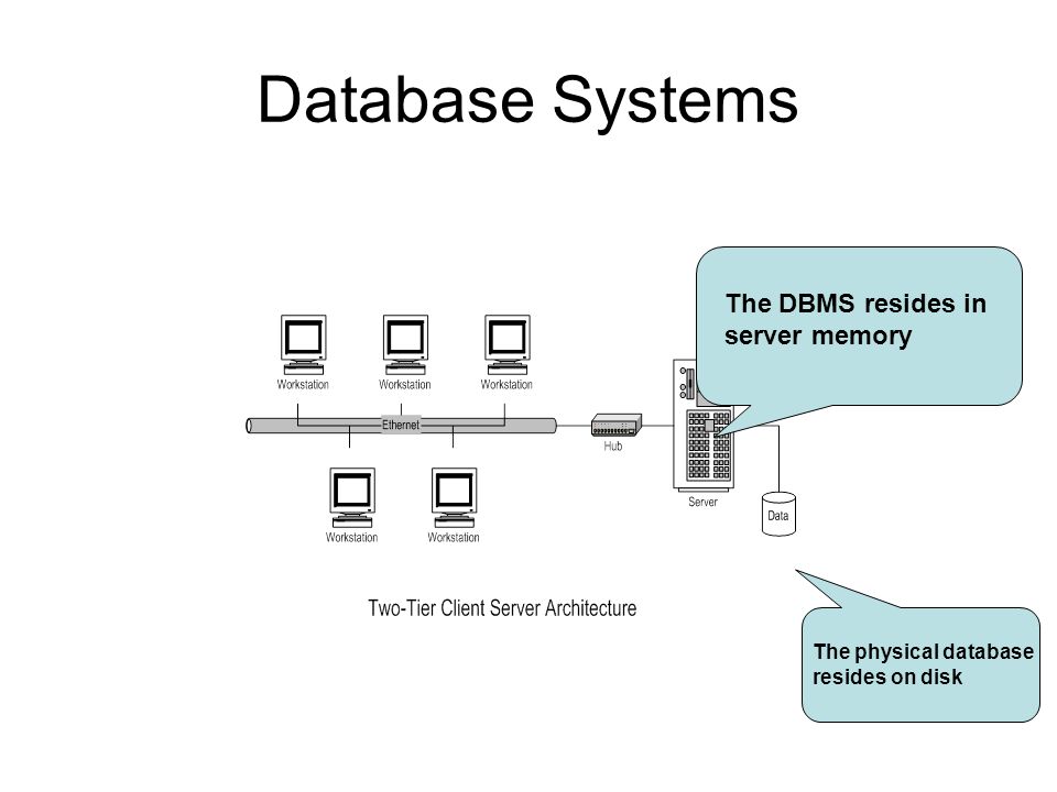 Database Systems The DBMS resides in server memory The physical database resides on disk
