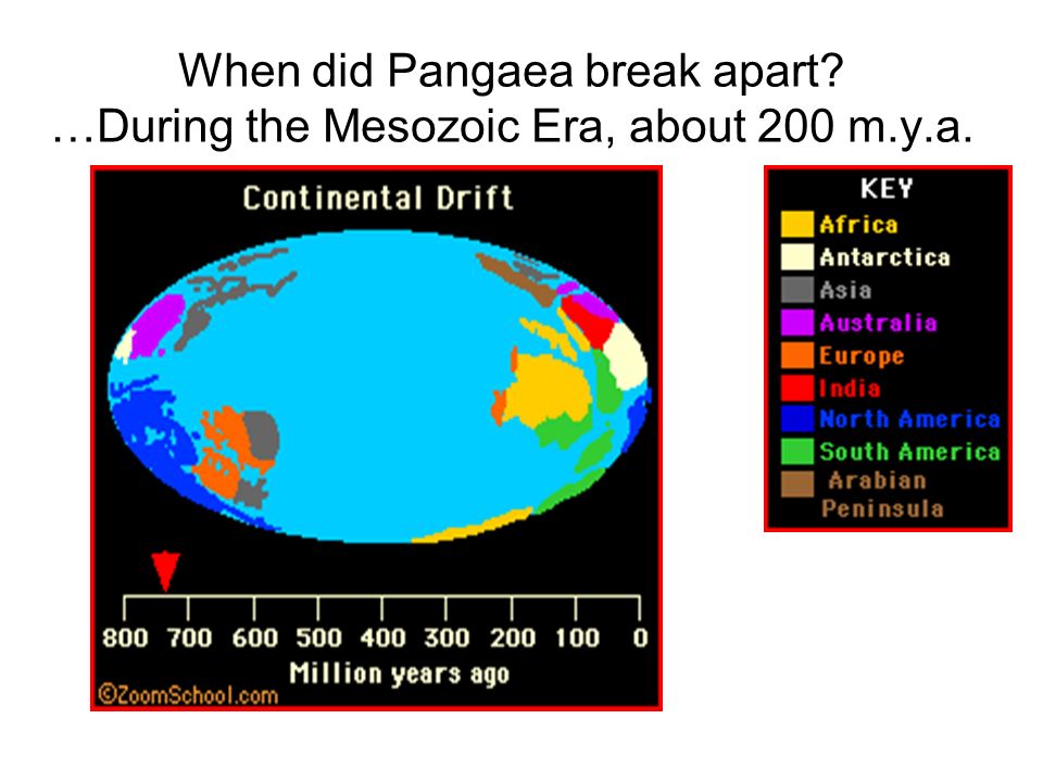 When did Pangaea break apart …During the Mesozoic Era, about 200 m.y.a.