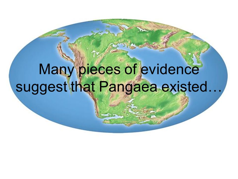 Many pieces of evidence suggest that Pangaea existed…