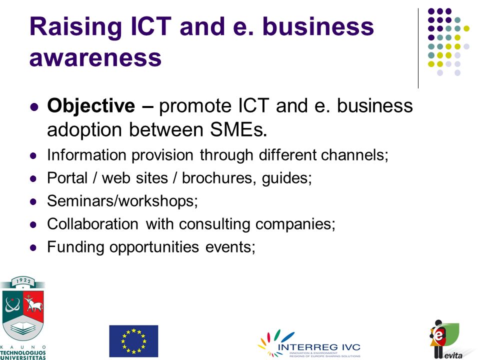 Raising ICT and e. business awareness Objective – promote ICT and e.