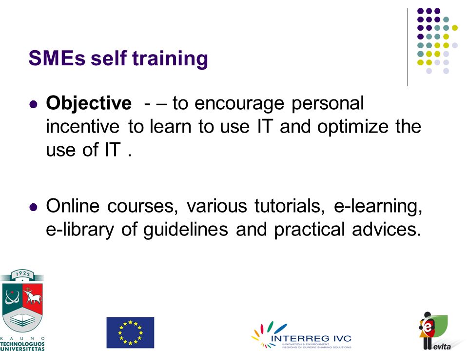 SMEs self training Objective - – to encourage personal incentive to learn to use IT and optimize the use of IT.