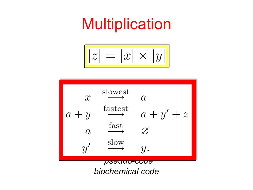 Multiplication pseudo-code biochemical code