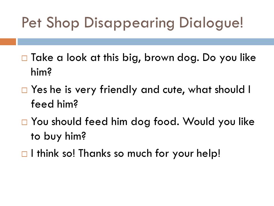 Pet Shop Disappearing Dialogue.  Take a look at this big, brown dog.