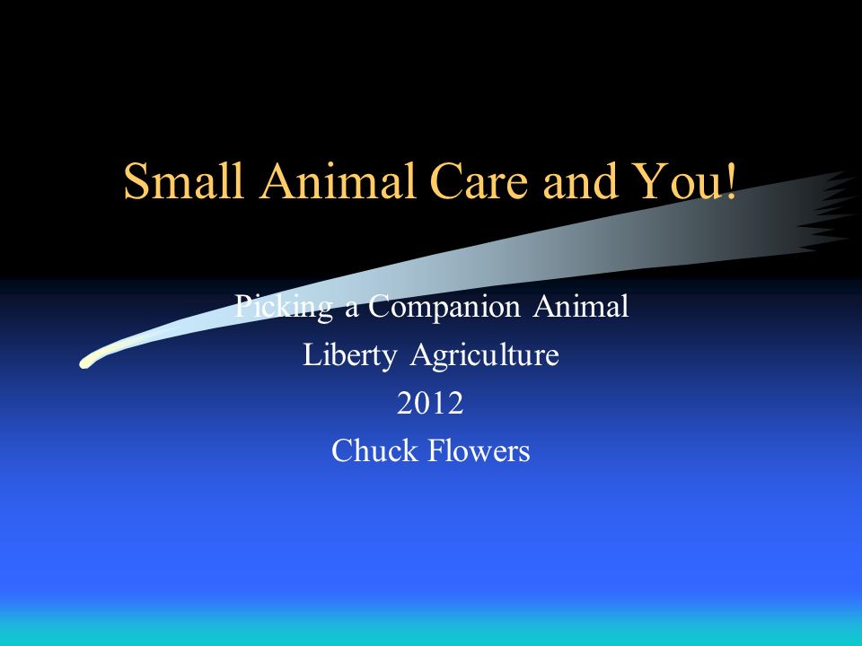 Small Animal Care and You! Picking a Companion Animal Liberty Agriculture 2012 Chuck Flowers