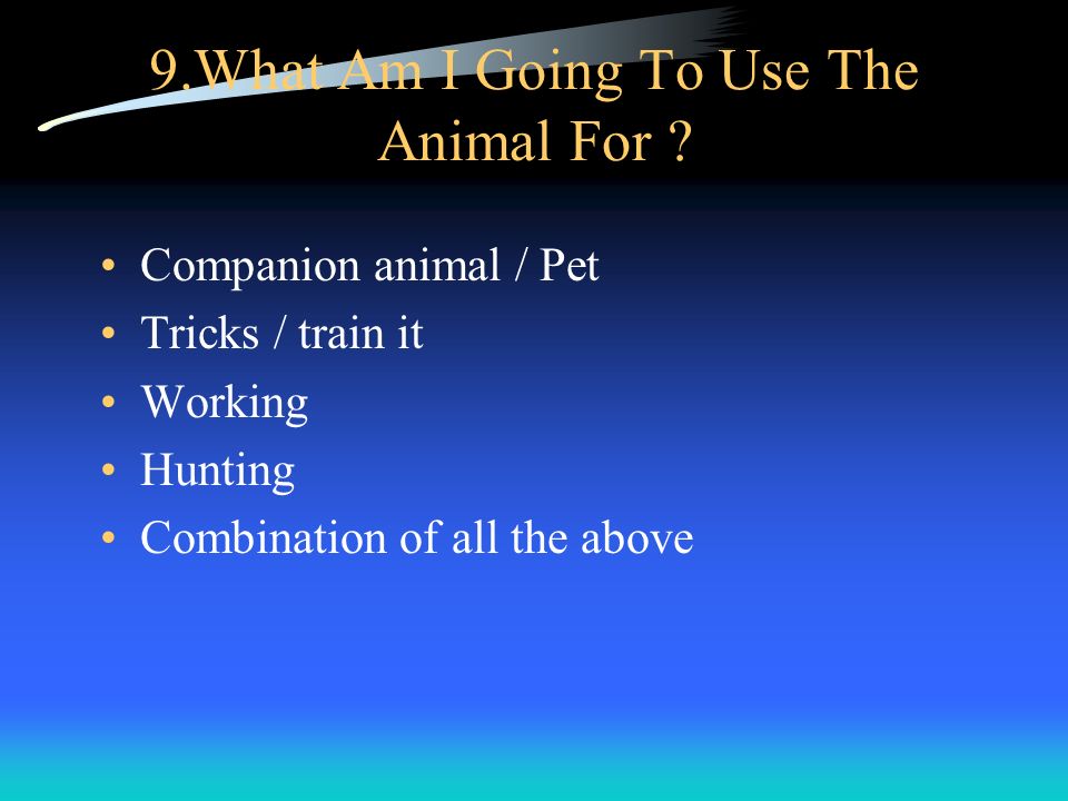 9.What Am I Going To Use The Animal For .