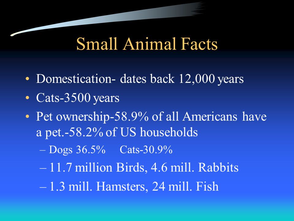 Small Animal Facts Domestication- dates back 12,000 years Cats-3500 years Pet ownership-58.9% of all Americans have a pet.-58.2% of US households –Dogs 36.5% Cats-30.9% –11.7 million Birds, 4.6 mill.