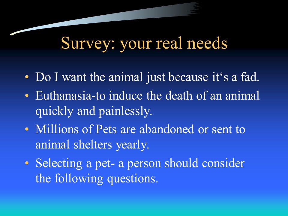 Survey: your real needs Do I want the animal just because it‘s a fad.