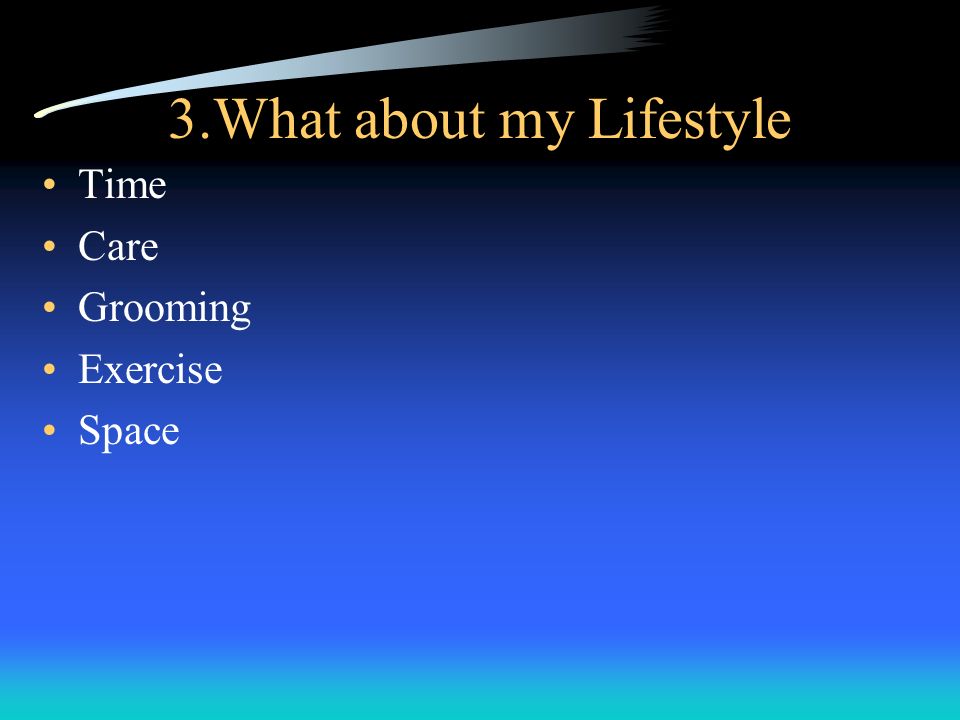 3.What about my Lifestyle Time Care Grooming Exercise Space