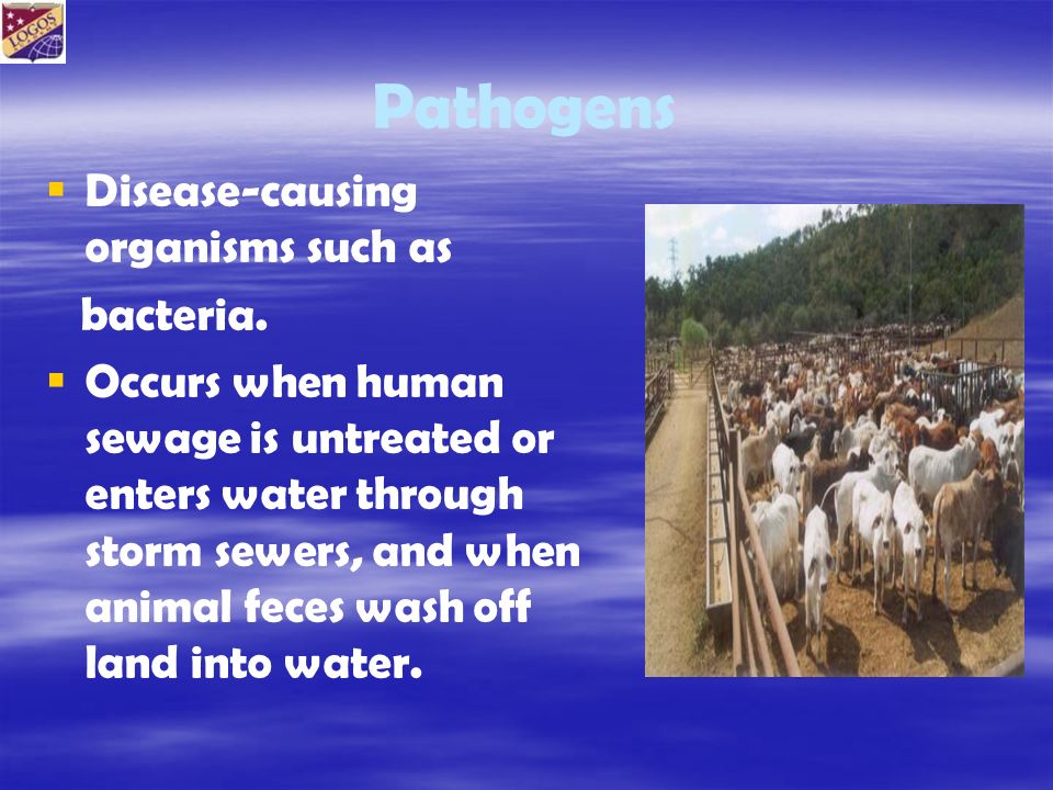 Pathogens   Disease-causing organisms such as bacteria.