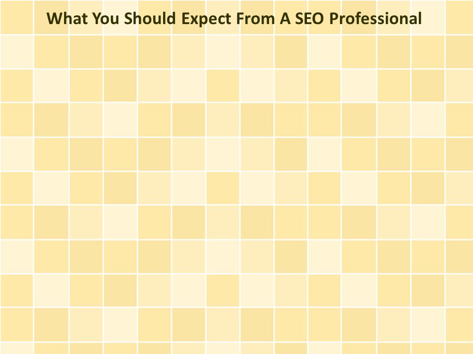 What You Should Expect From A SEO Professional